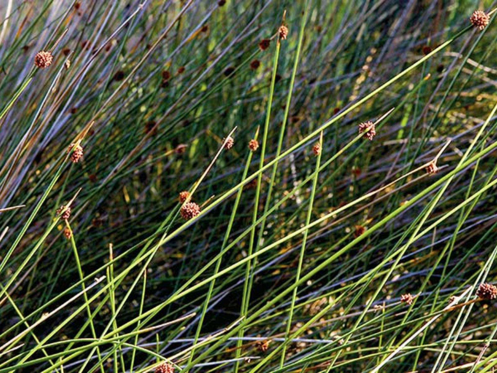 Spaziergang durch Fort Tomaree