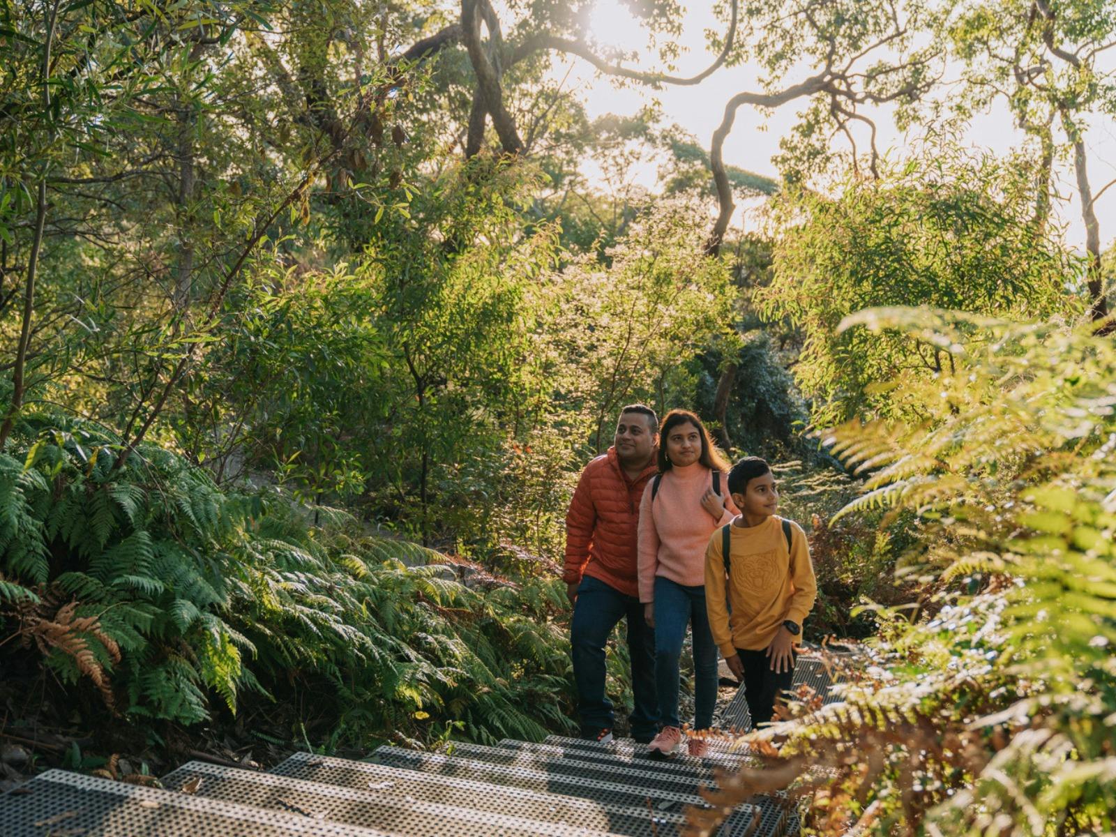 岬角公园-莫斯曼