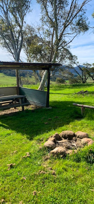 bbq shacks and wood supplied