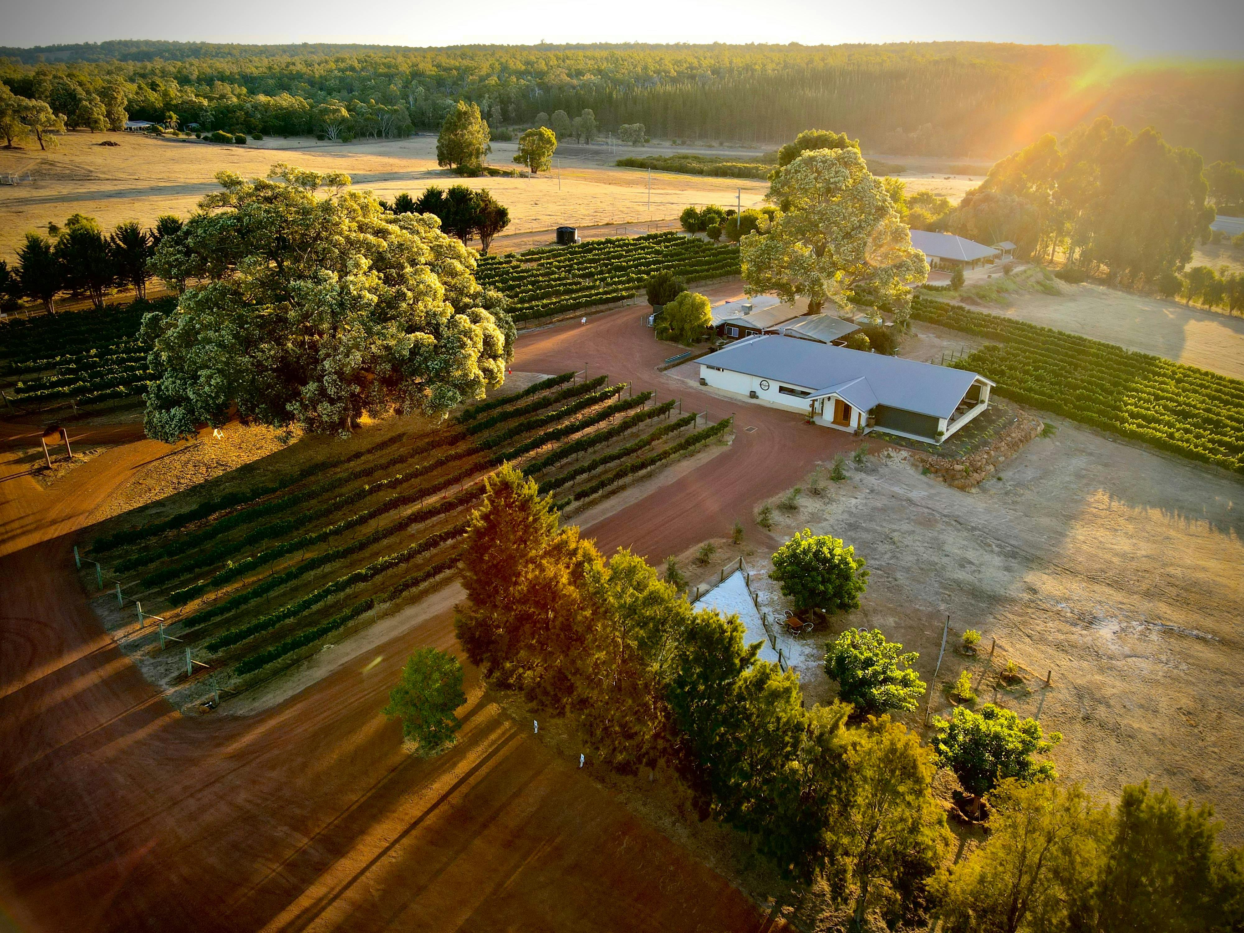 aerial view of cellar door
