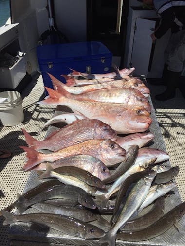 Offshore Nine Hour Fishing Charter
