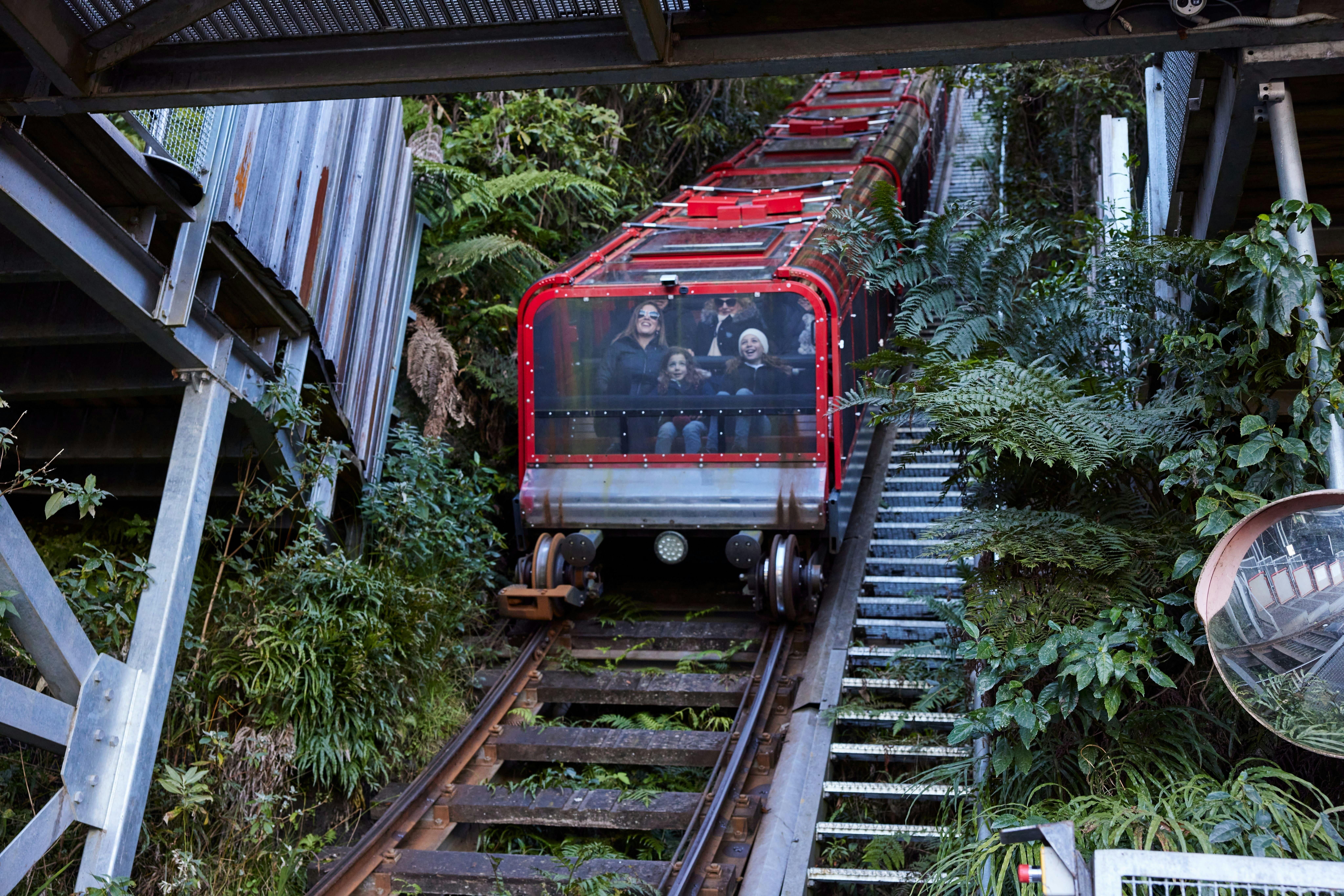 Brighton Tours guests experience the world's steepest railway, for breathtaking views