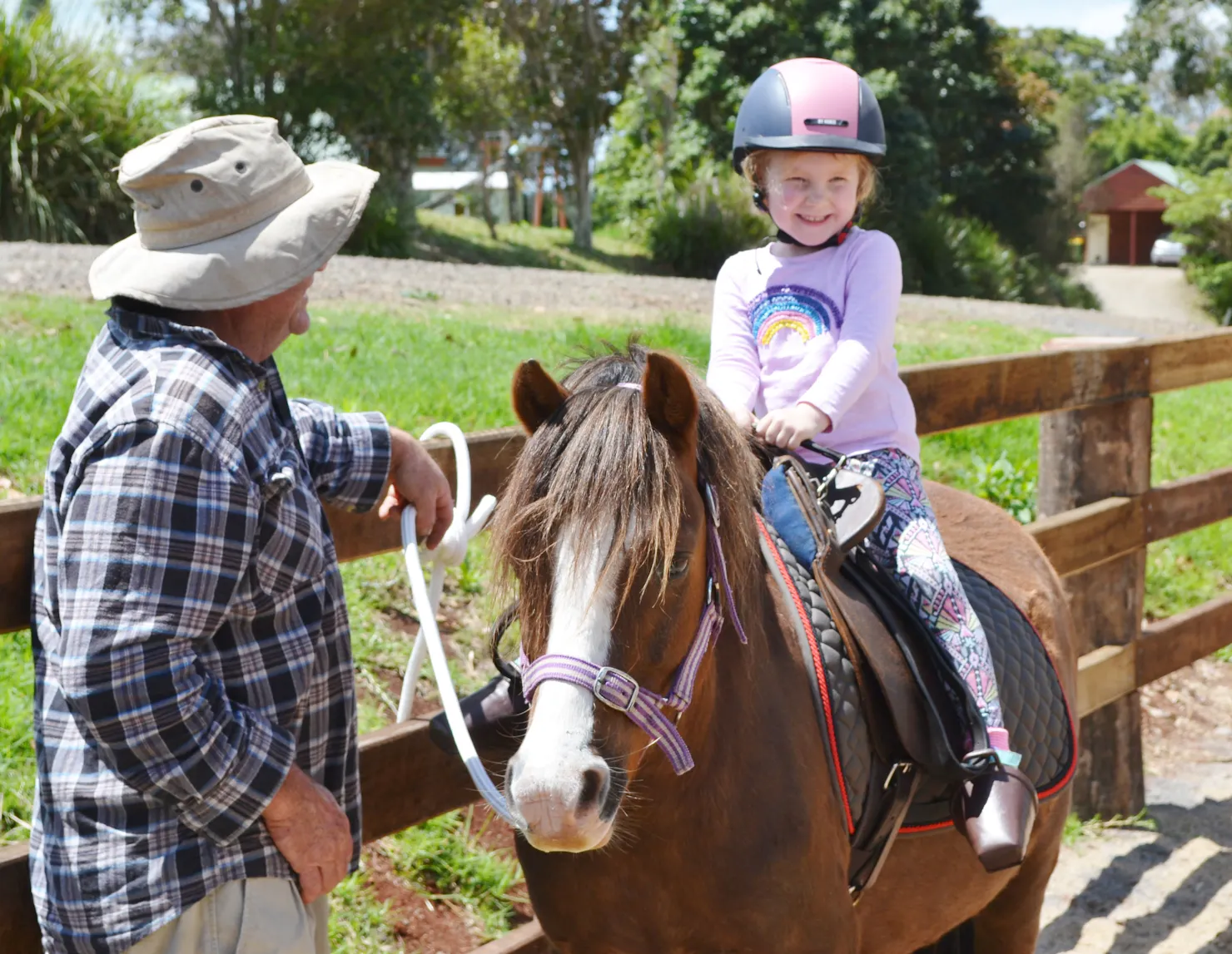 Bronson the pony at Wittacork Dairy Cottages