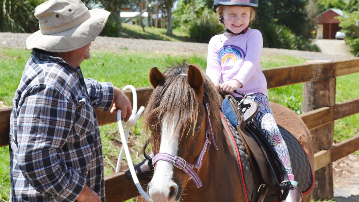Bronson the pony at Wittacork Dairy Cottages