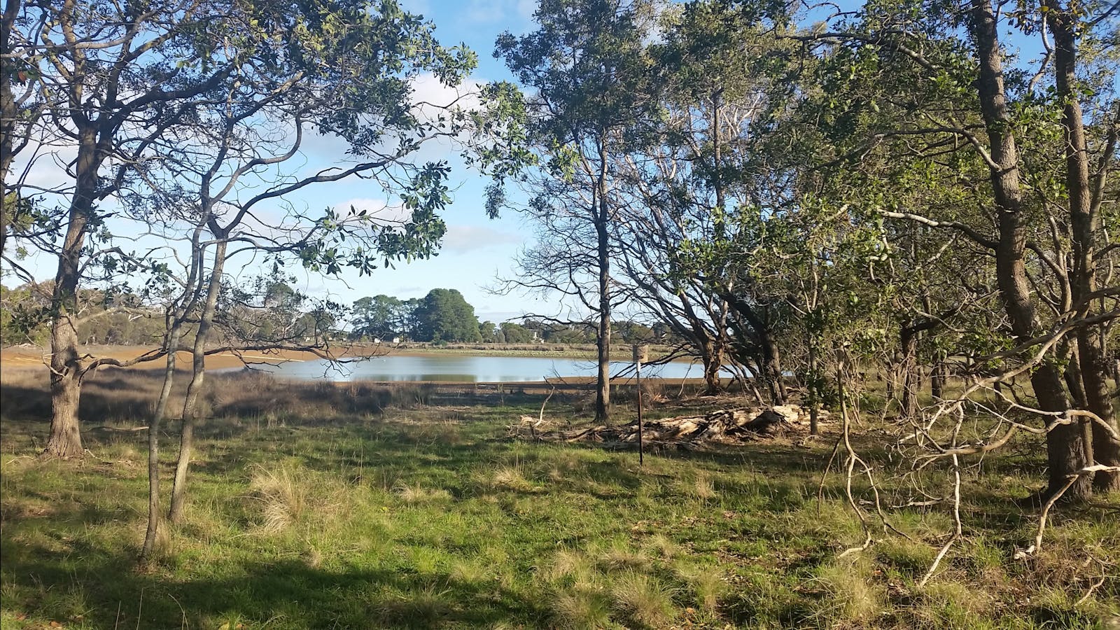 The Hamilton Bandicoot Wildlife Walk