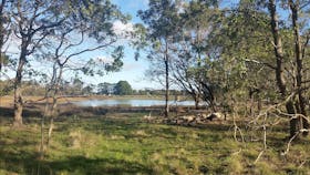Bushland in the Bandicoit Wildlife Walk