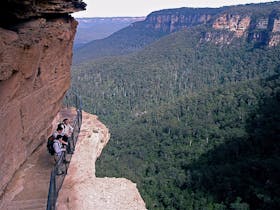National Trail Blue Mountains