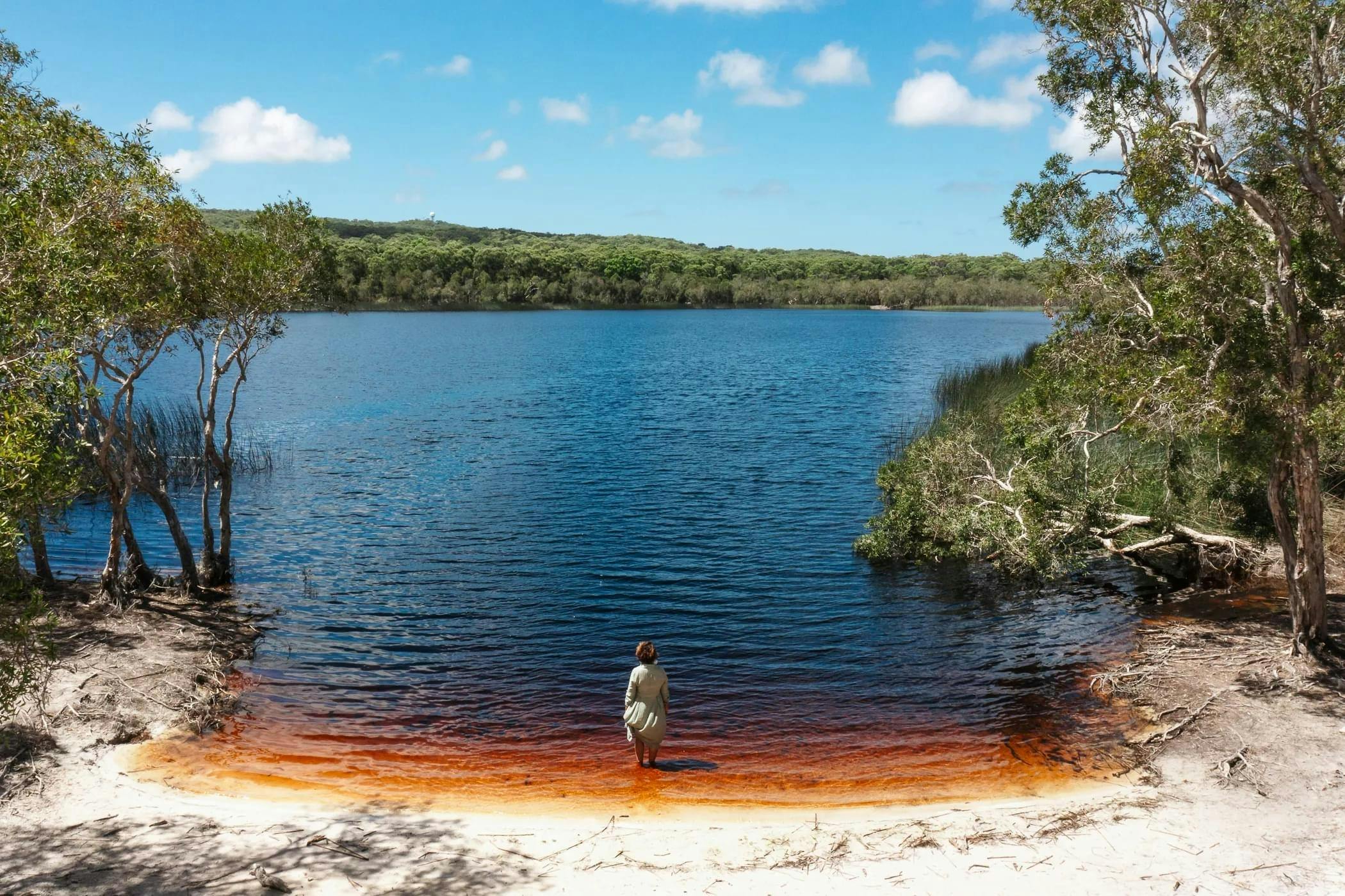 Bummeria Brown lake