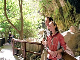 Carnarvon Gorge