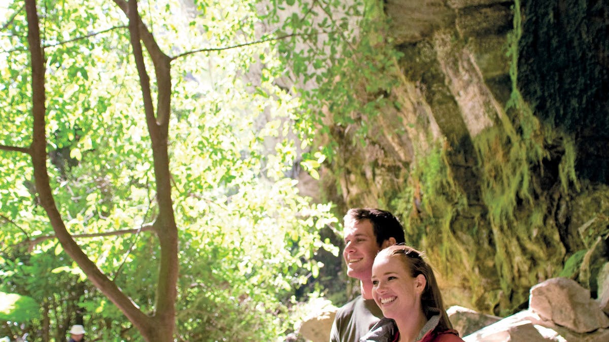 Carnarvon Gorge
