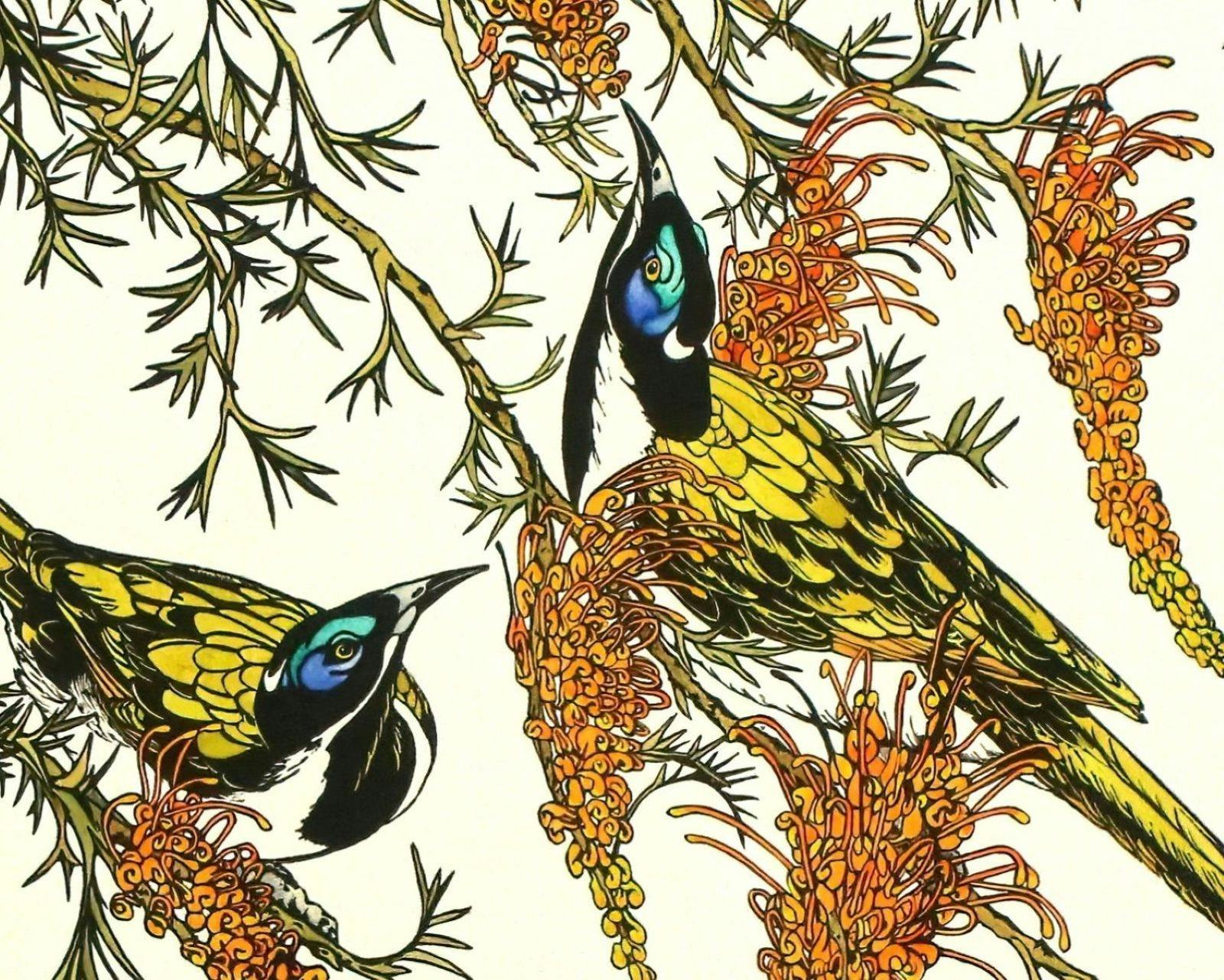 Blue Faced Honeyeaters - Vida Pearson