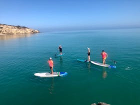 Four paddlers standing up on boards, padding towards the point at Cape Buffon