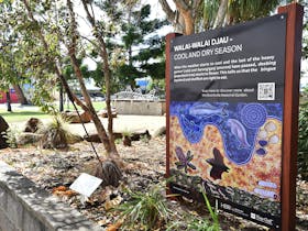 The Butchulla Seasonal Garden surrounds the Hervey Bay Regional Gallery