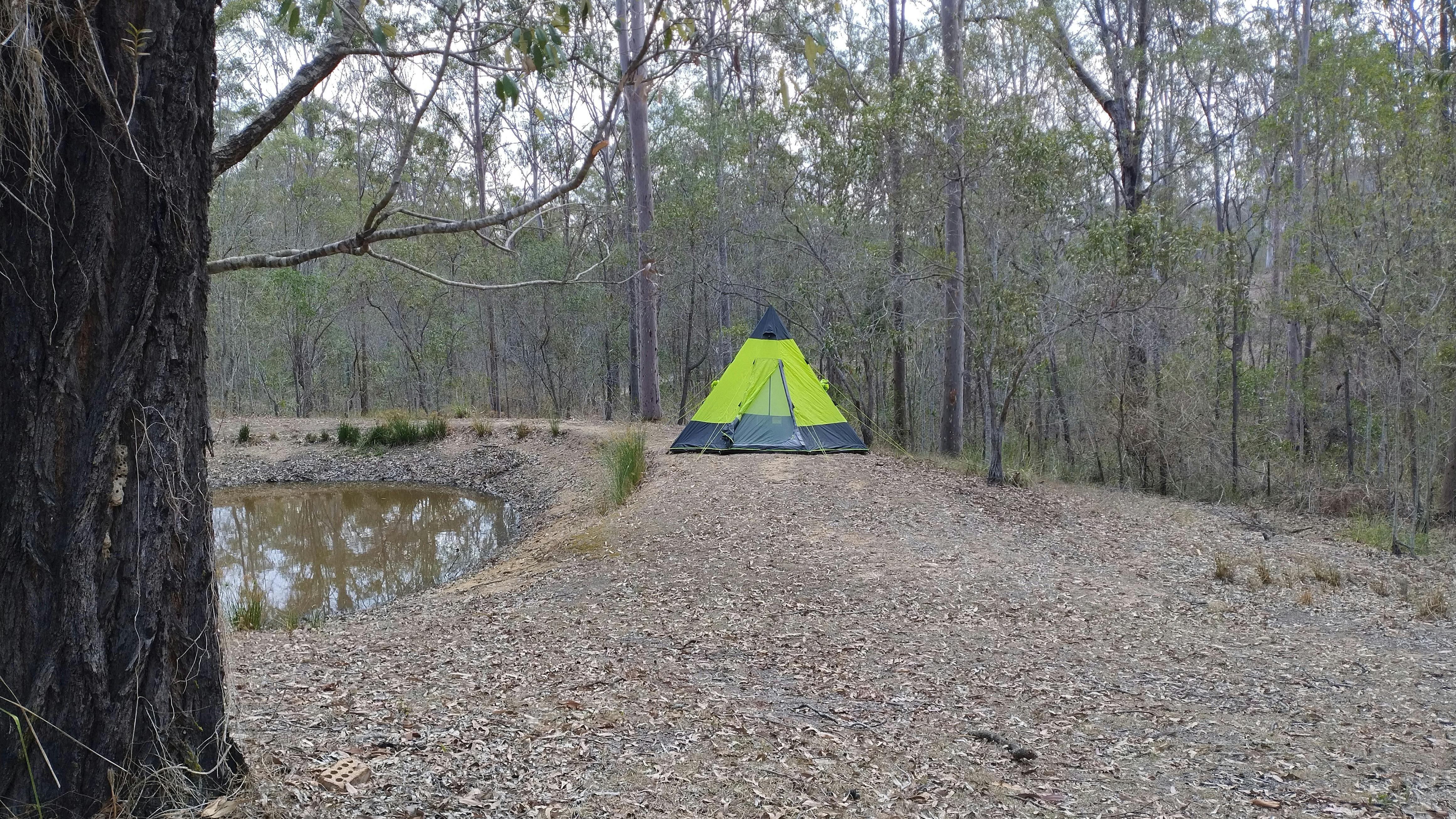 camping beside the water in a bush setting in a tipi tent