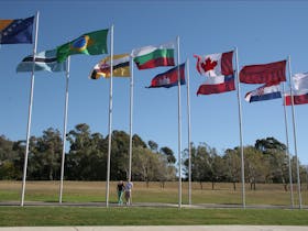 International Flag Display