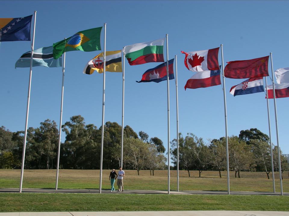 Test your flag knowledge!
