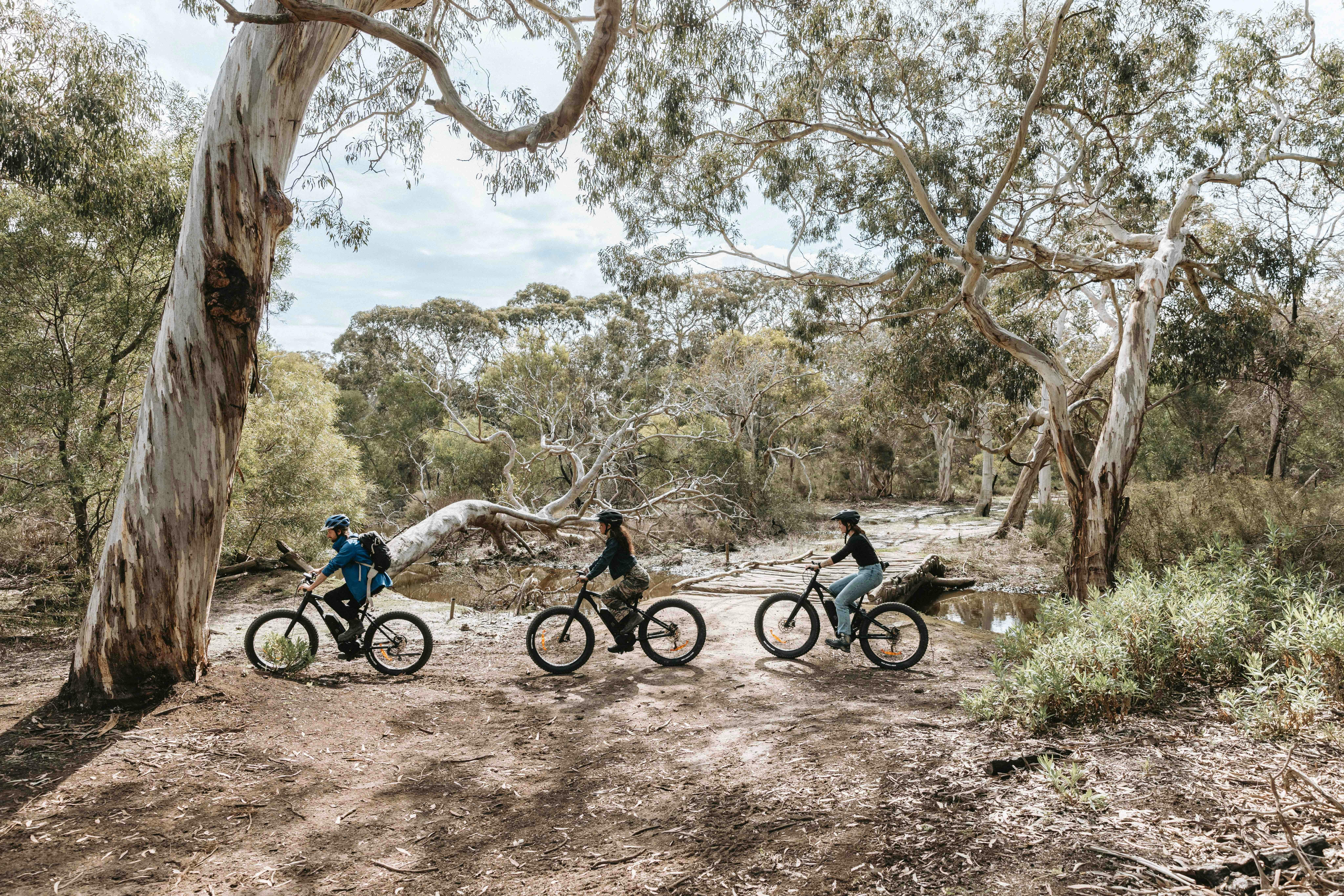 Winter Guided Electric Fat Bike Tour