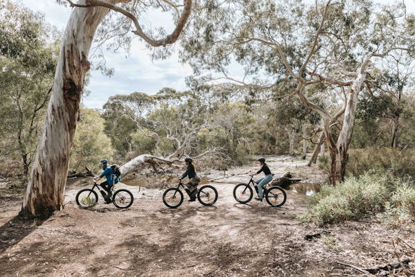 Winter Guided Electric Fat Bike Tour