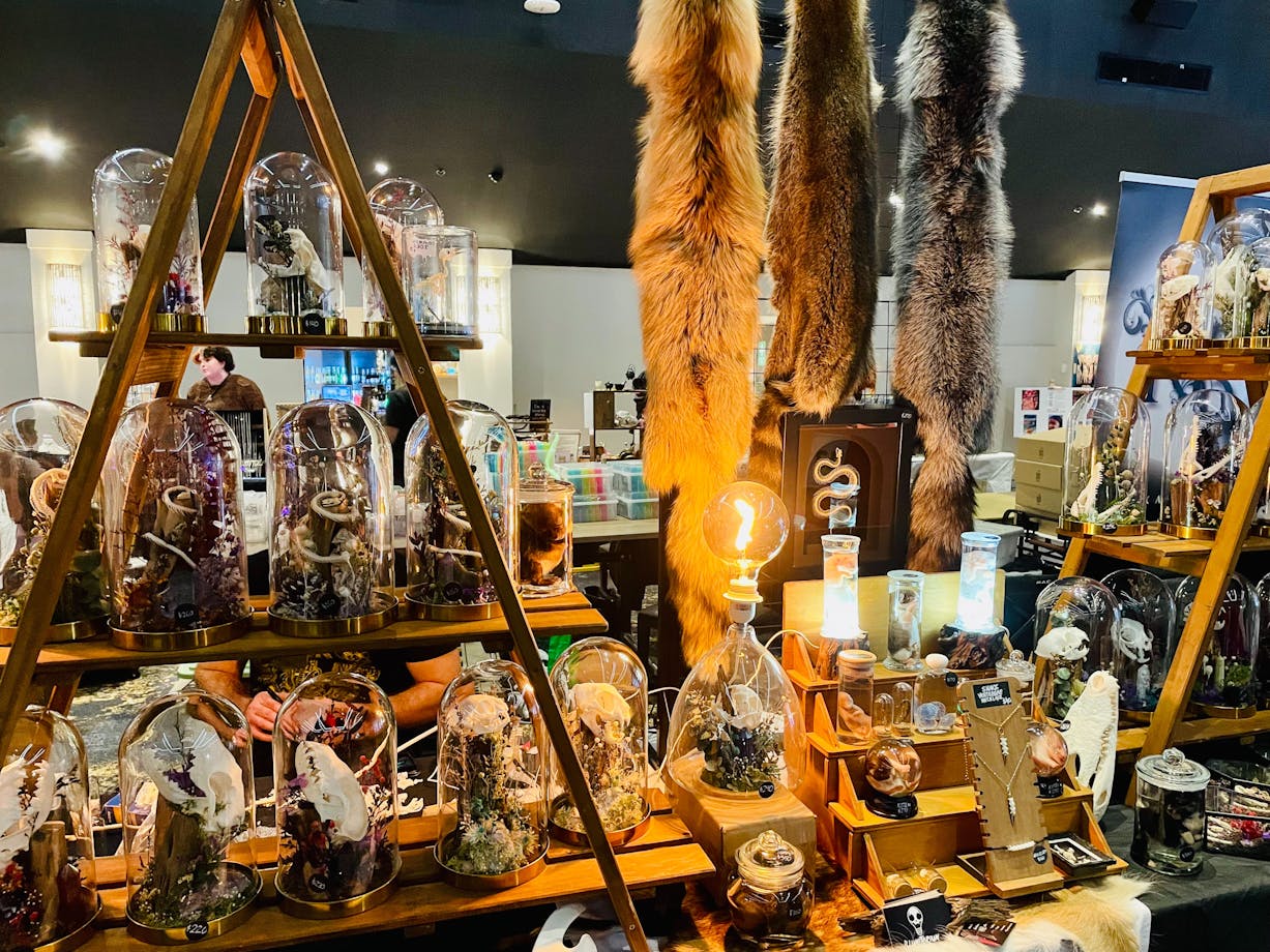 Curios Stall