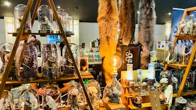Curios Stall