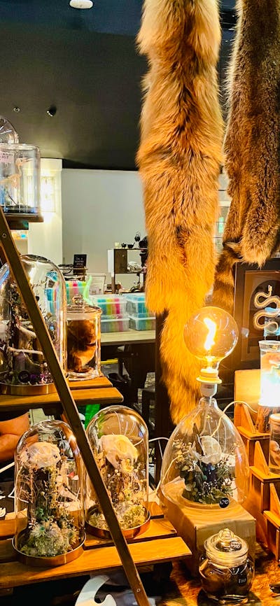 Curios Stall