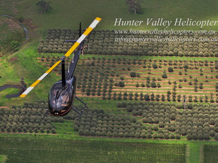 High Above The Vines