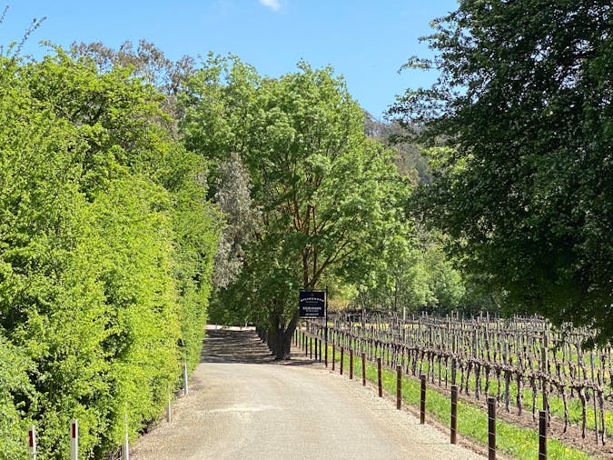 Private Clare Valley Wine Tour Lunch