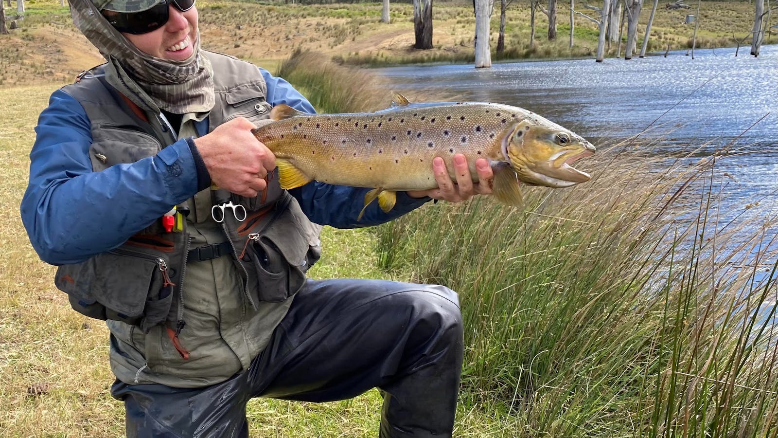 Trout fishing Tasmania
