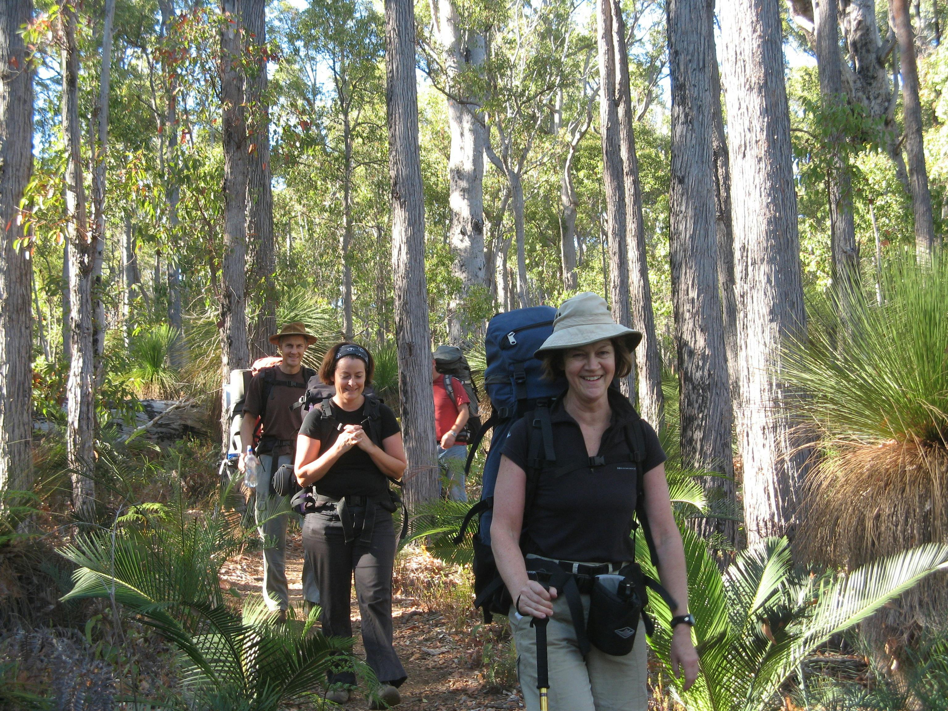 Forest Discovery Centre