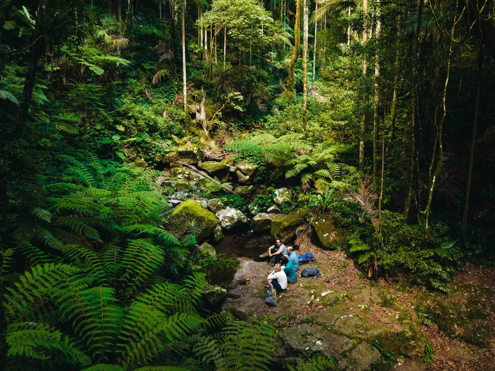 Dalrymple Creek Main Range National Park