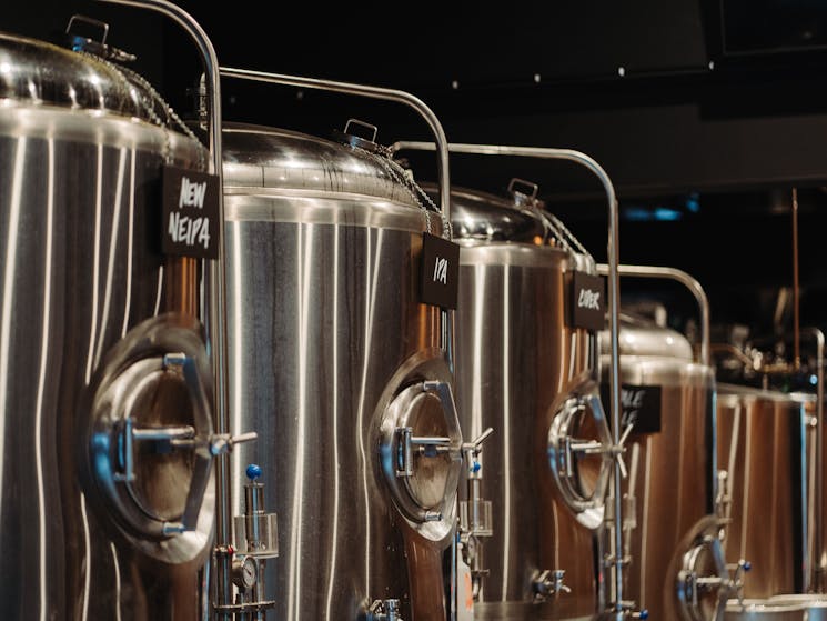 Stoic Brewing Fermenters