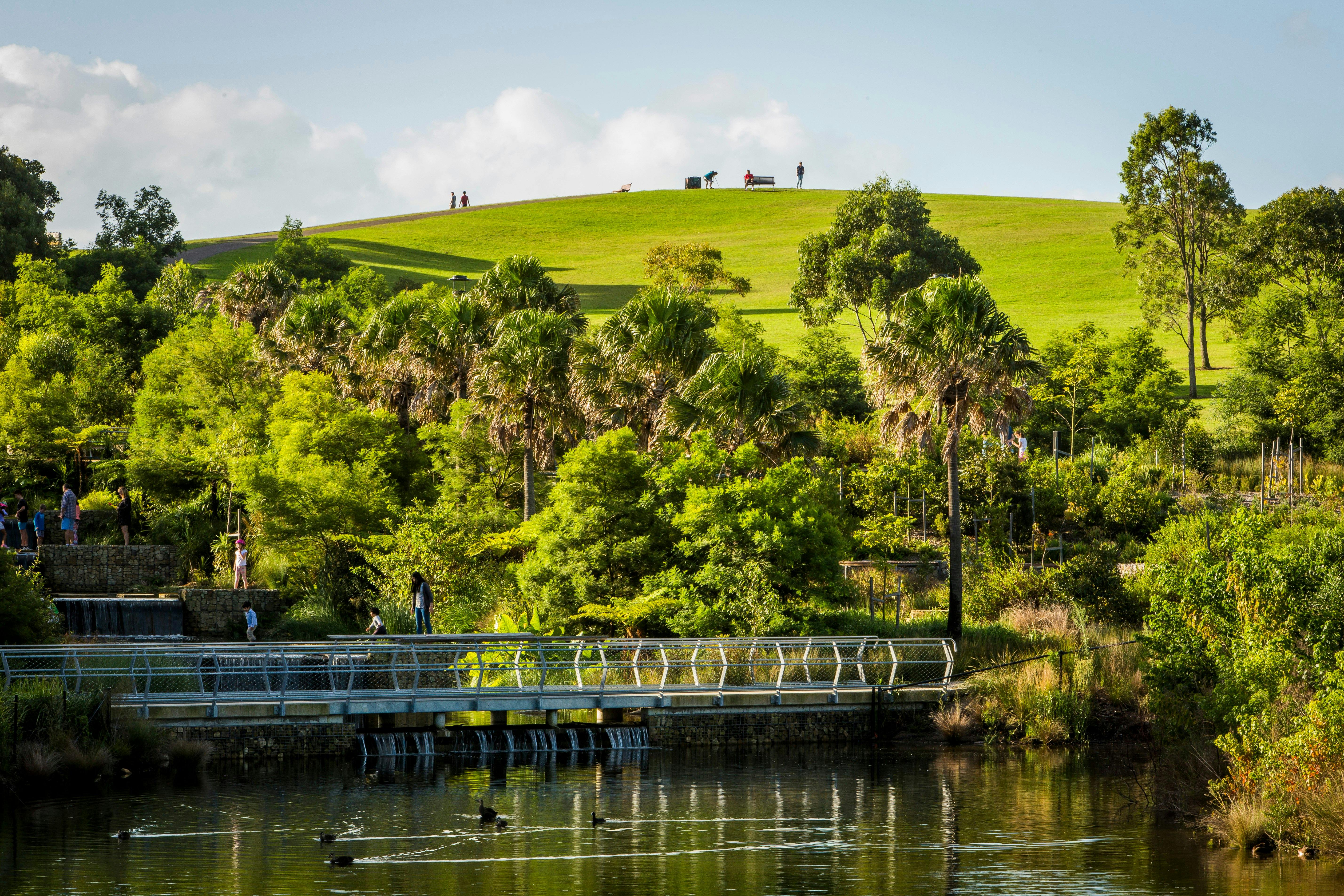Malerische Feuchtgebiete im preisgekrönten Sydney Park, St. Peters