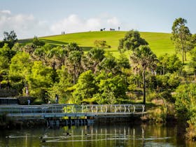 Picturesque wetlands located in the award-winning Sydney Park, St Peters