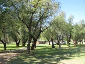 Lions Park Forbes