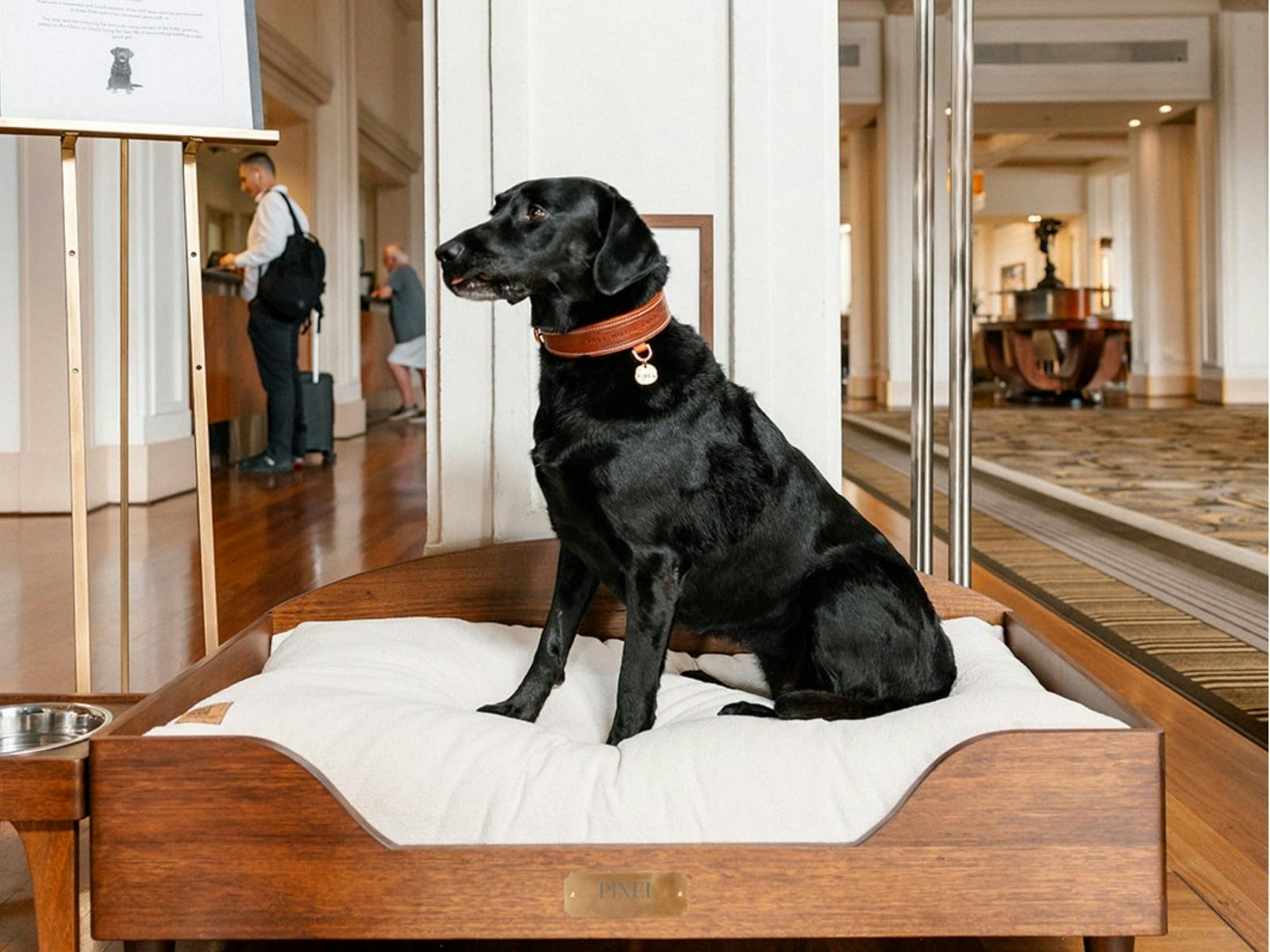 Hyatt Hotel Canberra Pixel