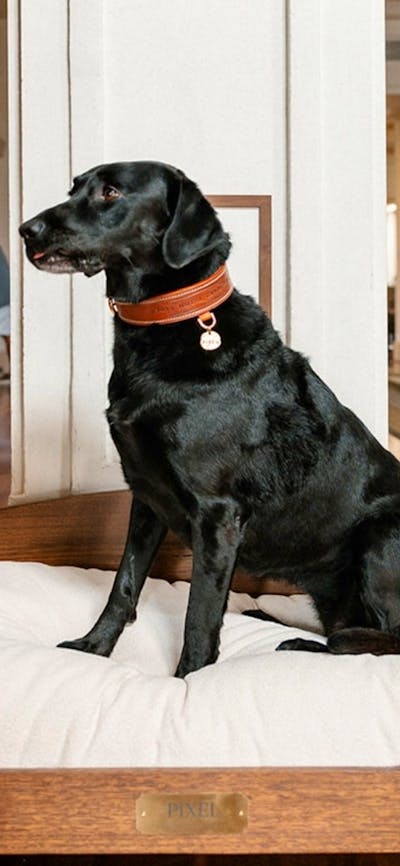 Hyatt Hotel Canberra Pixel