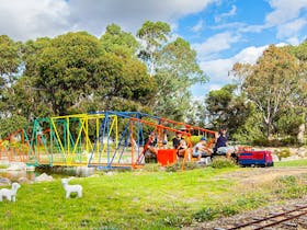 Bridge and Tiny Train