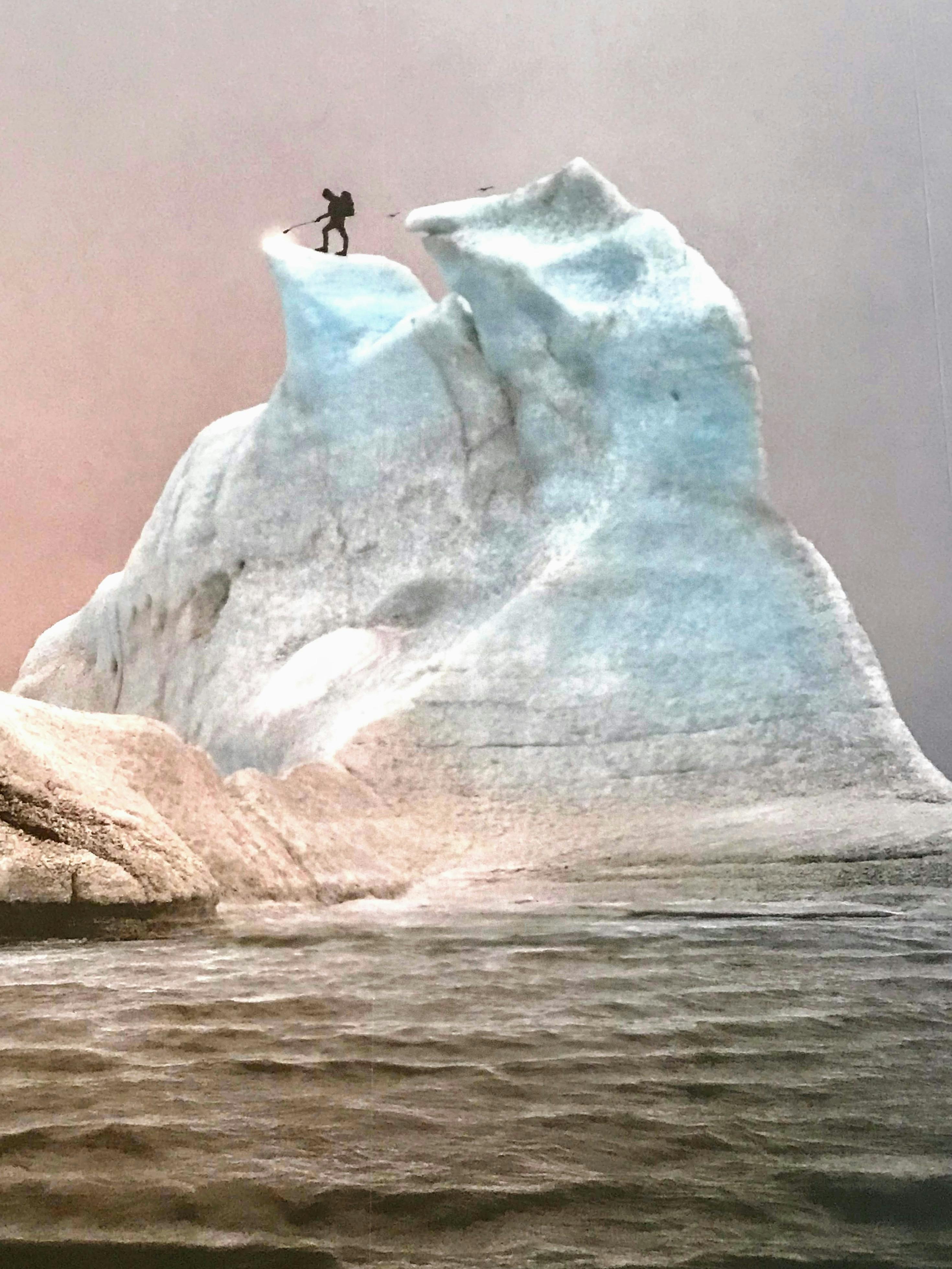 Art displays at the Gallery of Modern Art