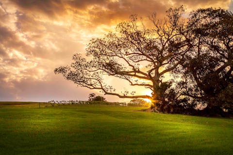 Crooked River Estate