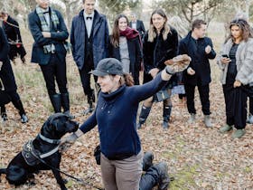 Black Tie and Gumboot Truffle Hunt and Dinner