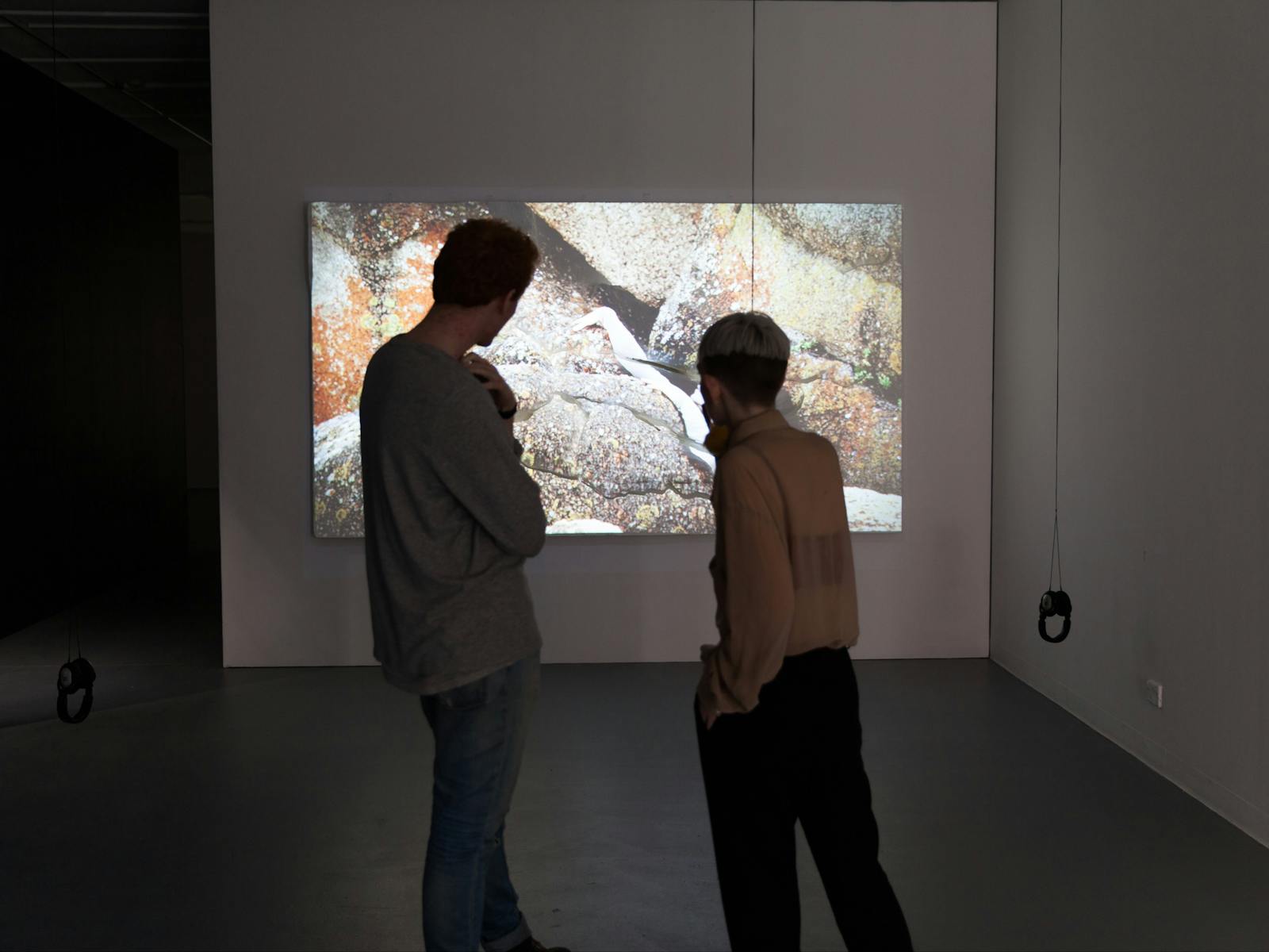 Adelaide Contemporary Experimental