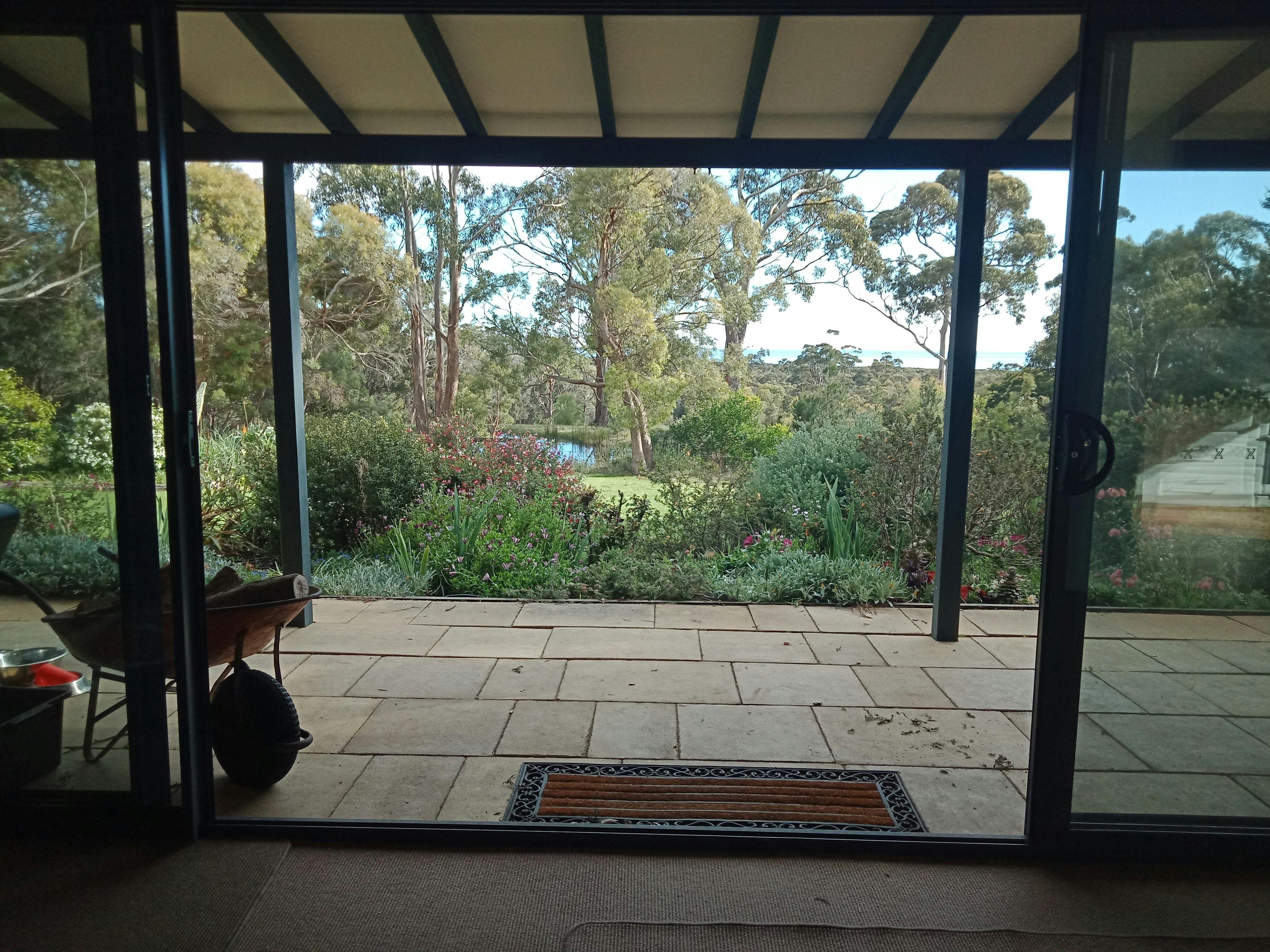 Looking out from the Living Room into the garden