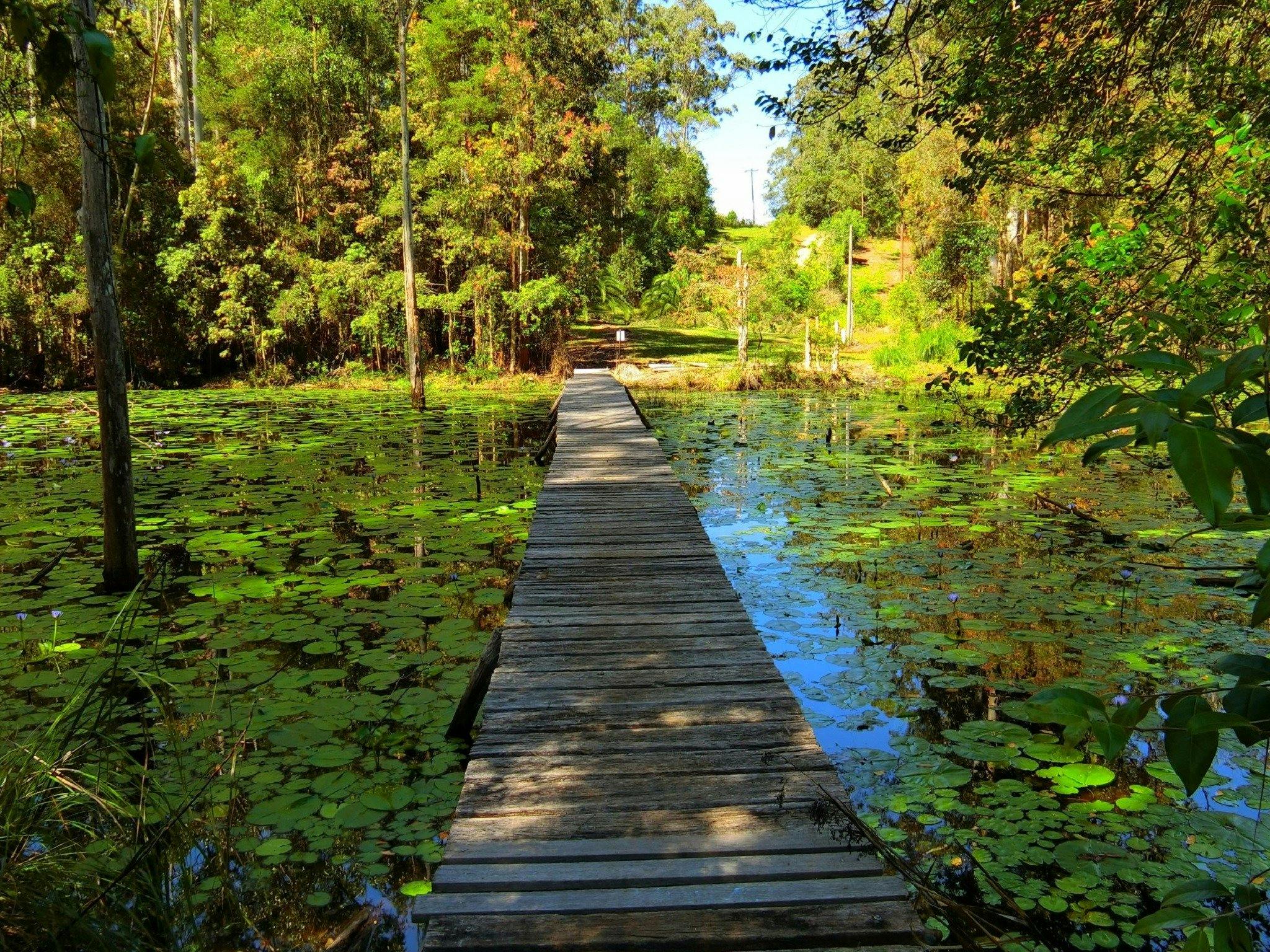 ヤラレンリトリート