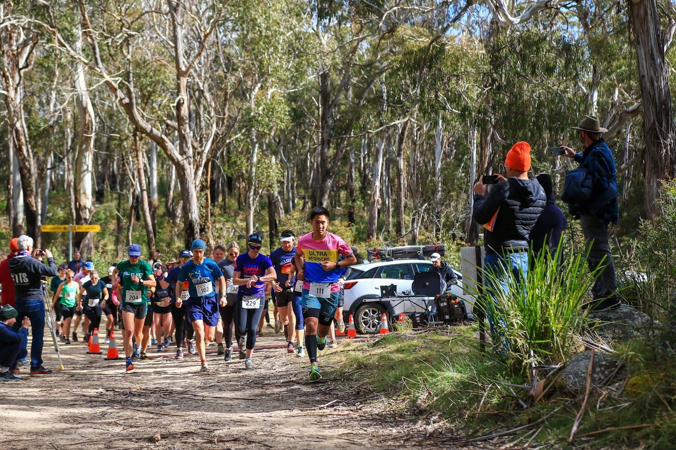 Runners running through the bush