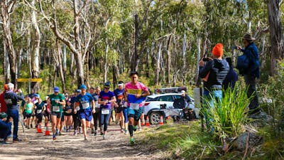 Runners running through the bush