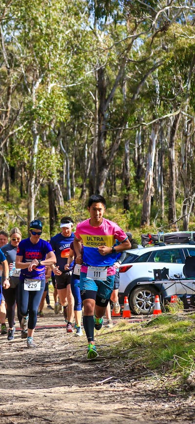 Runners running through the bush