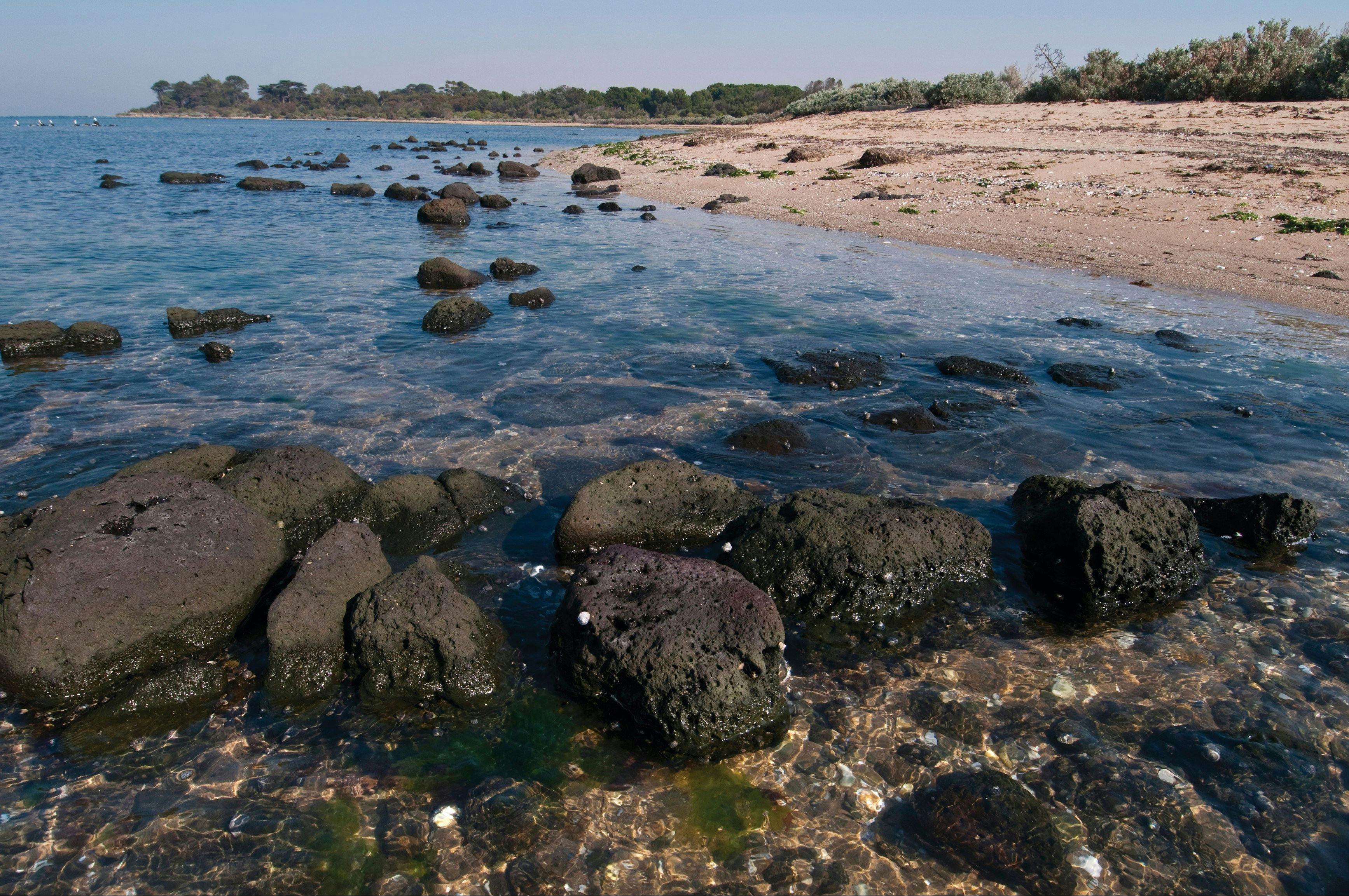 Point Cooke Marine Sanctuary