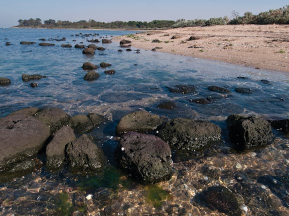 Point Cook Marine Sanctuary