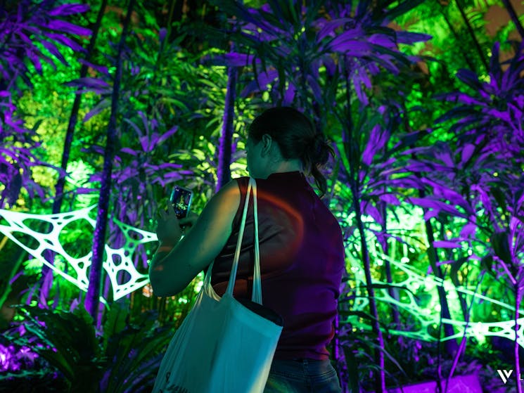 Green and purple UV lights within the jungle