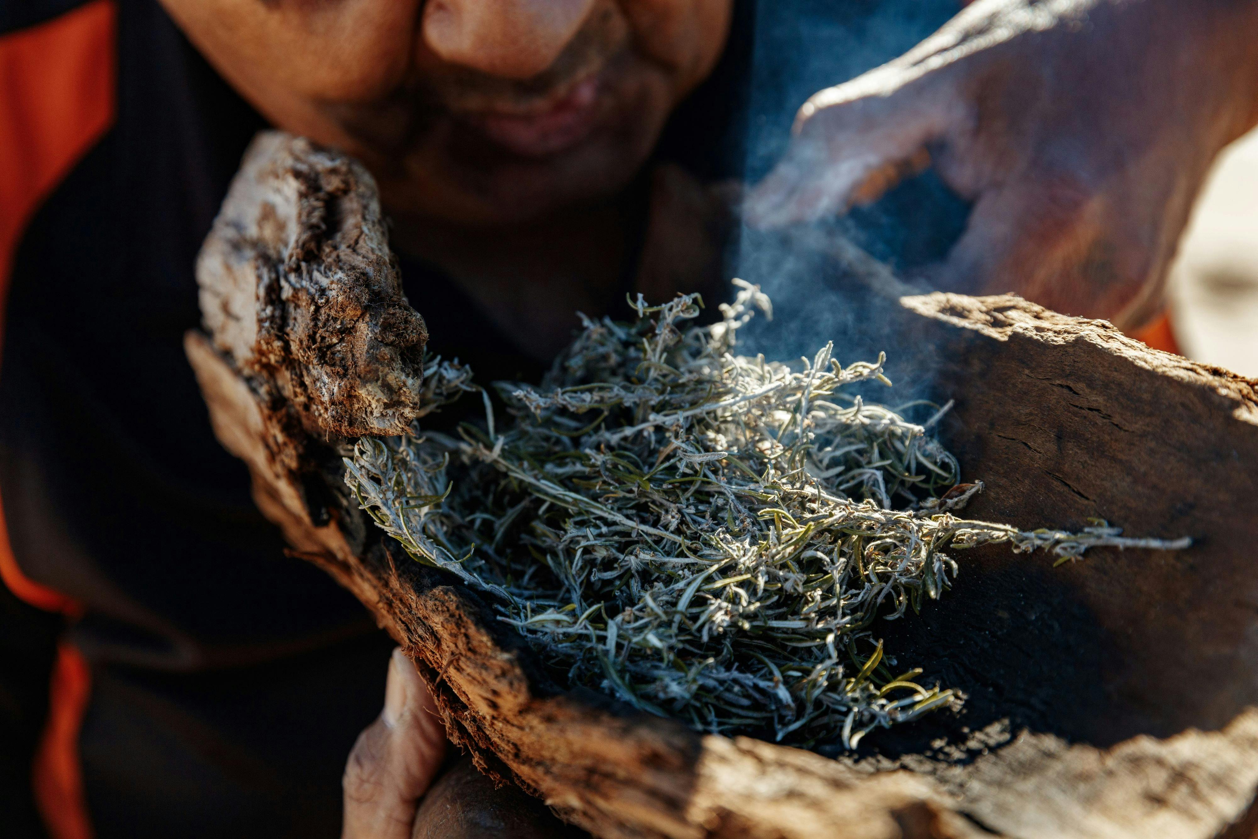 a part of a log with some smoking bush inside